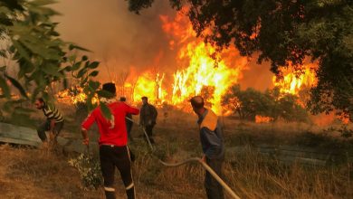 صورة ارتفاع حصيلة قتلى حرائق الغابات إلى 34 شهيدا