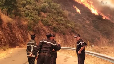 صورة وزارة الداخلية: تسجيل 97 حريقا في 16 ولاية